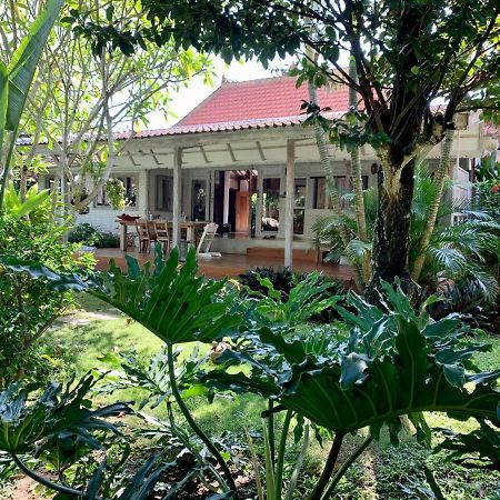 Quiet 3 Br-3 Bathroom Villa In Heart Of Canggu מראה חיצוני תמונה